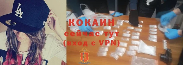 дмт Протвино