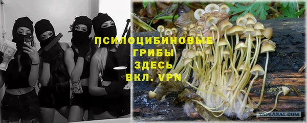 МДМА Пролетарск