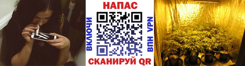 Марихуана планчик  купить наркоту  Бутурлиновка 